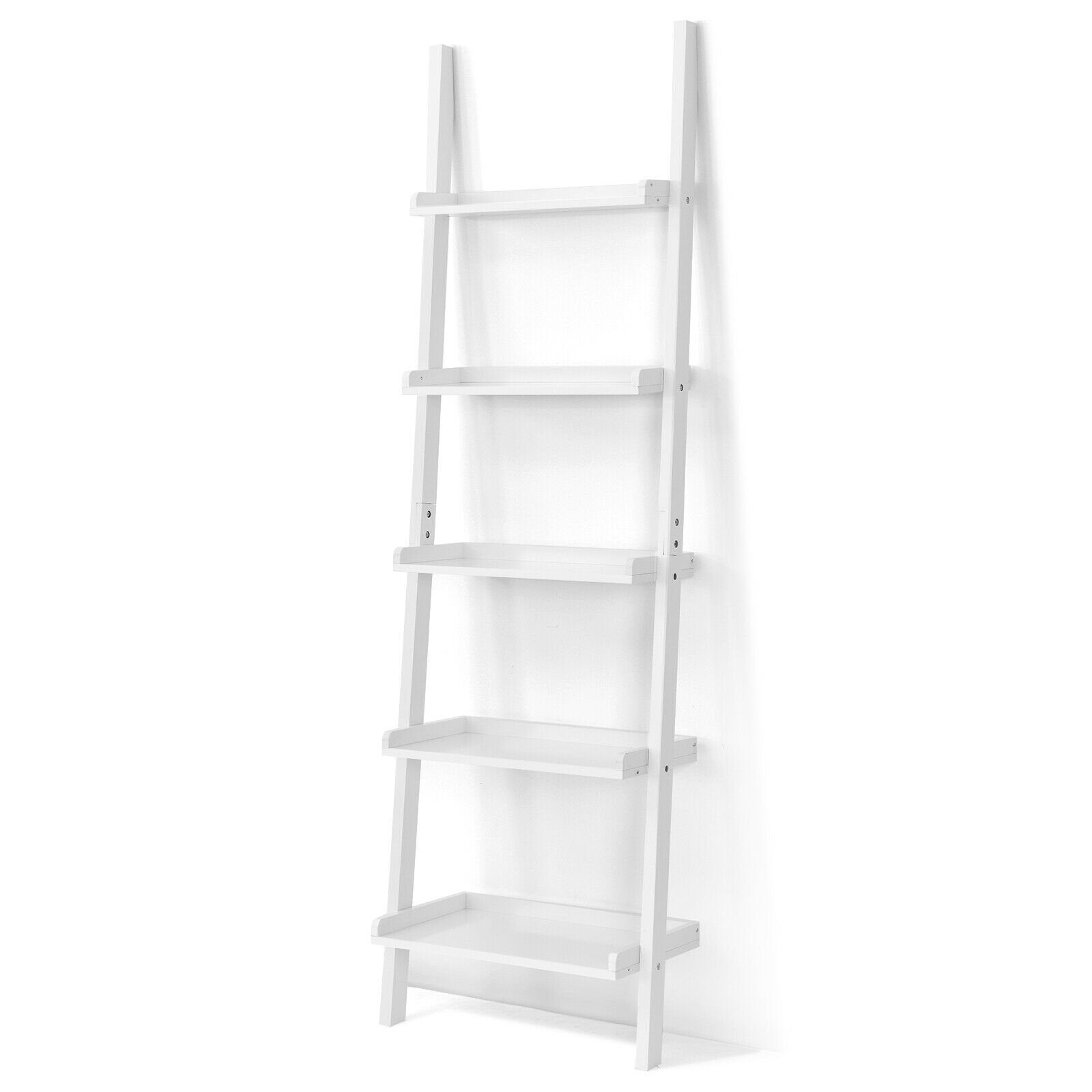 5-Tier Wall-leaning Ladder Shelf Display Rack for Plants and Books-Black