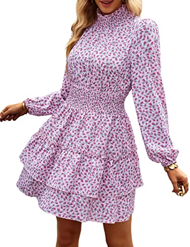 ADEWEL Women's Long Sleeve Mock Neck Ruffle Mini Dress