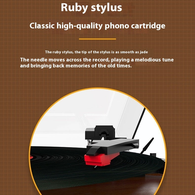 Vinyl Record Player Retro Phonograph